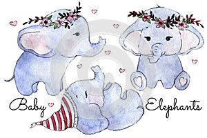 Three cute watercolor baby elephants