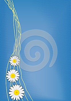 Three daisies on halftoned background