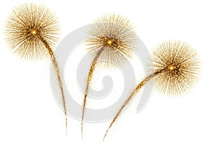 Three dandelions in bloom