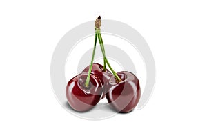 Three dark red sweet cherries with stems isolated on white background. Close up, side view