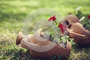 Three decorative clay pot in garden