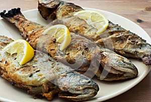 Three delicious grilled trouts
