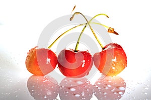 Three delicious ripe sweet cherries with cuttings isolated on a white background with reflection. Side view.