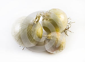 Three detailed white onions in different positions on a white background - composition