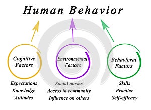 Determinants of Human Behavior