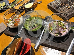 Three Different Ceviche Dishes in Cancun, Mexico