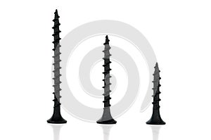 Three different length self-tapping screws are standing upright. Isolated on white