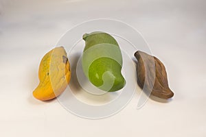 three different mangoes in a row in different health and growth conditions