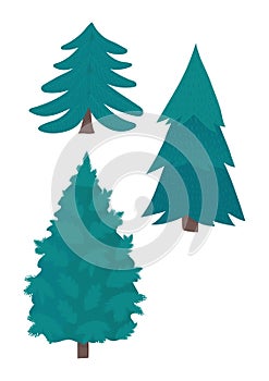 Three different styles of evergreen trees, pine forest elements, stylized Christmas trees. Nature, season, winter trees