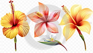 Three different types of flowers are shown in the image by AI generated image