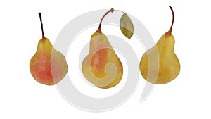 Three different yellow pears isolated on white background