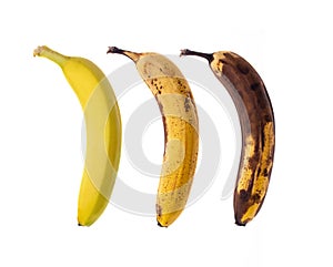 Three differently ripe bananas