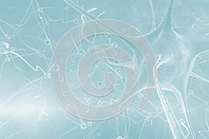 Three dimension image of pathogen illustration