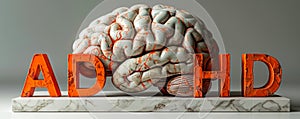 A three-dimensional human brain model with the orange letters ADHD representing Attention Deficit Hyperactivity Disorder, on