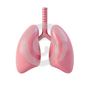 Three-Dimensional Model of Human Lungs and Trachea - Icon