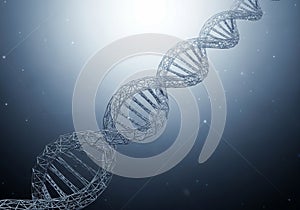 A three-dimensional representation of a DNA double helix