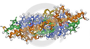 Three-dimensional representation of a protein structure,
