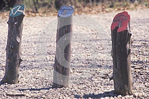 Three directional arrows in different colorsÃ¯Â¿Â½