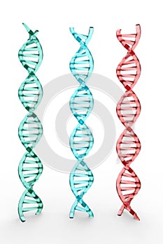 Three dna structures on white background