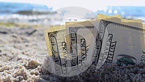 Three dollar bills are buried in sand on sandy beach near sea