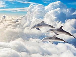 Three of Dolphins Jumping Happily in the Sky
