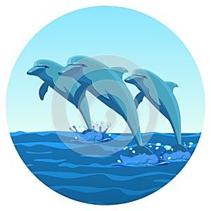 Three dolphins synchronously jump out of water friendly kind creatures