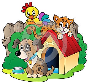 Three domestic animals