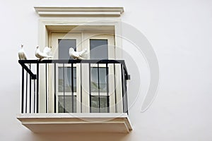 Three Dove at Balcony Windows