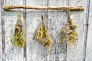 Three dried bouquet of flowers hanging on driftwood