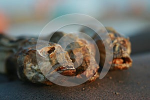 Three dried fish