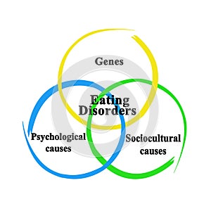 Drivers of Eating Disorders