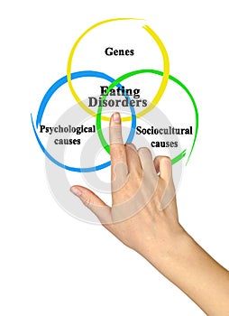 Drivers of Eating Disorders