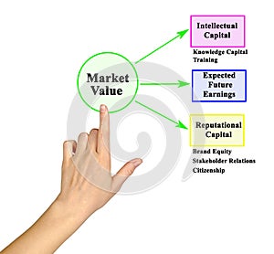 Drivers of Market Value