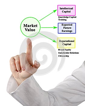 Drivers of Market Value