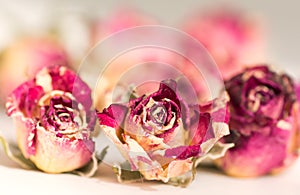 Three dry soft pink roses.