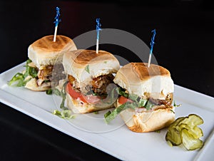 Three Duck Sliders on White plate