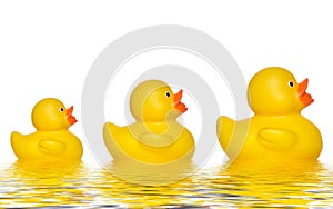 Three ducks