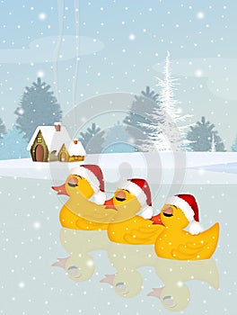 Three ducks with Christmas hat