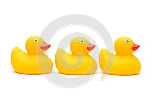 The three ducks isolated
