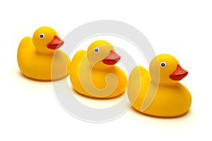 The three ducks isolated