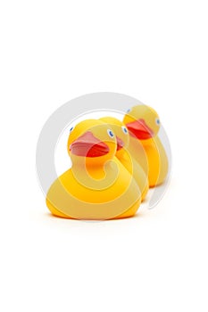 The three ducks isolated