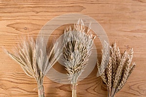 Three ears of cereals, wheat, oats, and rye on a wooden table
