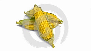 Three ears of corn with green leaves . Fresh corn on cob isolated on white background