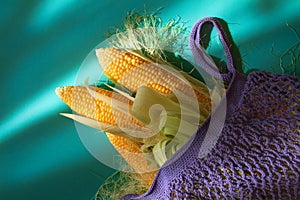 Three ears of fresh ripe corn with green leaves in purple eco-friendly knitted bag on green wooden surface in sunlight