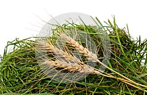 Three ears of wheat on a pile of grass