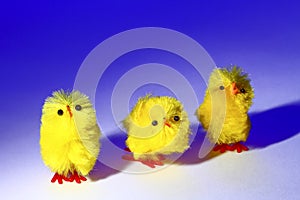 Three Easter chick toy chickens