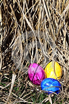 Tre pasqua uova nell'erba 
