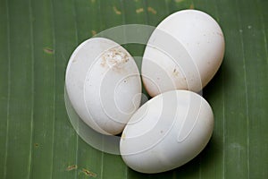 Three eggs