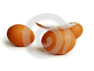 Three eggs with feather photo