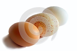 Three eggs isolated white background